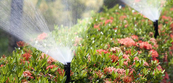 Flower Bed Irrigation