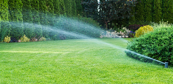 Lawn Irrigation