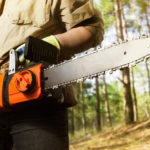 What You Need to Know When Hiring a Licensed Tree Service