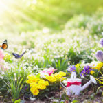 3 Spring Landscaping Tips to Get Trees Ready for the Growing Season