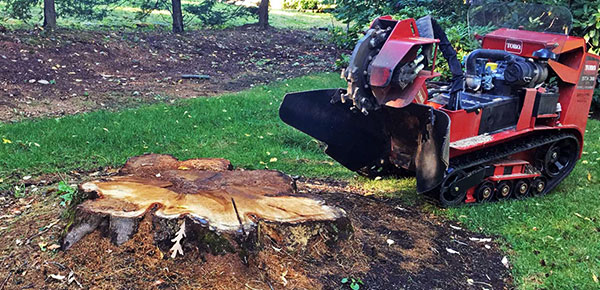 stump-grinding